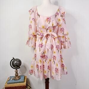 Borgo de Nor Pink Floral Ruffle Cotton Voile LouLou Dress Size US 6 NWT Romantic